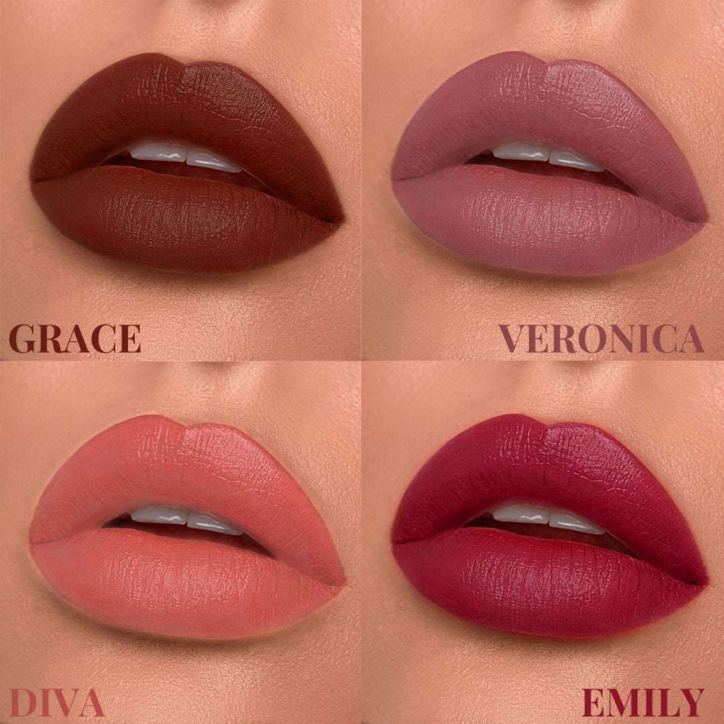 MEANT best long lasting liquid lipstick set Day Dazzle lip shade swatches card